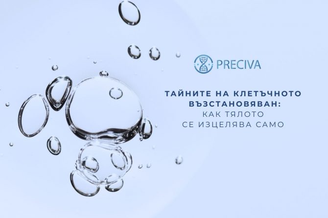 Тайните на клетъчното възстановяване – как тялото ви се изцелява само 